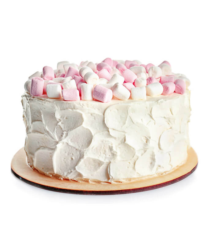 Yellow Layer Cake with Chocolate